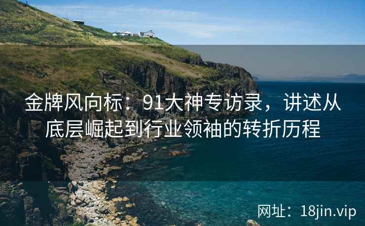 金牌风向标：91大神专访录，讲述从底层崛起到行业领袖的转折历程