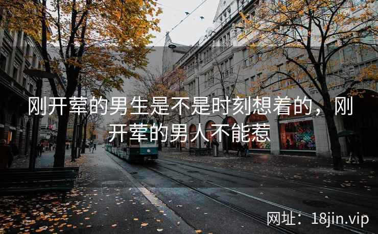 刚开荤的男生是不是时刻想着的，刚开荤的男人不能惹
