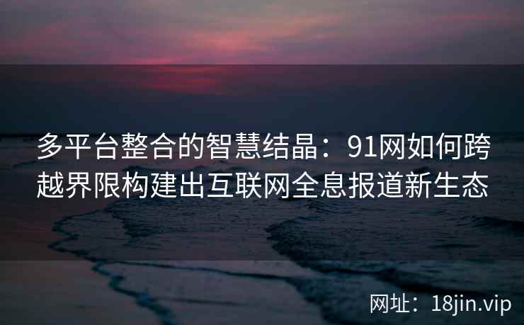 多平台整合的智慧结晶：91网如何跨越界限构建出互联网全息报道新生态