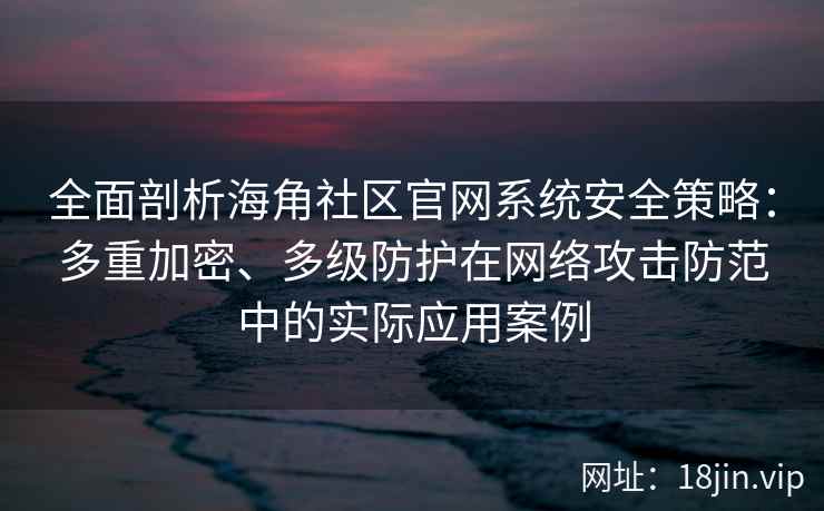 全面剖析海角社区官网系统安全策略：多重加密、多级防护在网络攻击防范中的实际应用案例